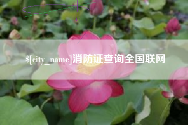 怀化消防证查询全国联网