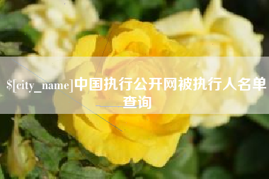 怀化中国执行公开网被执行人名单查询