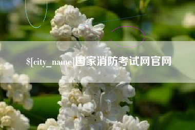 怀化国家消防考试网官网