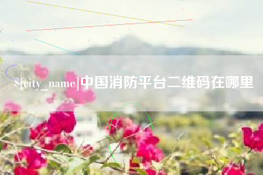 怀化中国消防平台二维码在哪里