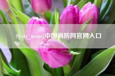 怀化中国消防网官网入口