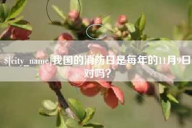 怀化我国的消防日是每年的11月9日对吗？