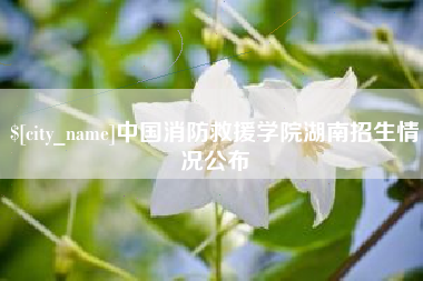 怀化中国消防救援学院湖南招生情况公布