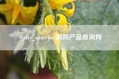 怀化ccc消防产品查询网