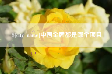 怀化中国金牌都是哪个项目