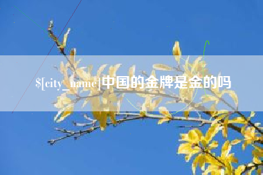 怀化中国的金牌是金的吗
