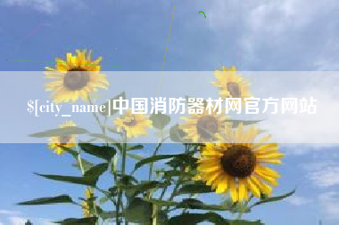 怀化中国消防器材网官方网站