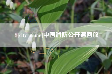 怀化中国消防公开课回放