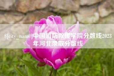 怀化中国消防救援学院分数线2023年河北录取分数线