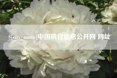 怀化中国执行信息公开网 网址