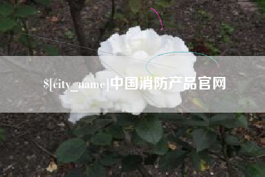 怀化中国消防产品官网
