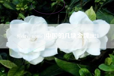 怀化中国的几块金牌2021