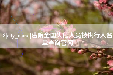 怀化法院全国失信人员被执行人名单查询官网