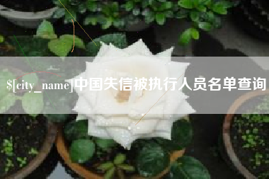 怀化中国失信被执行人员名单查询