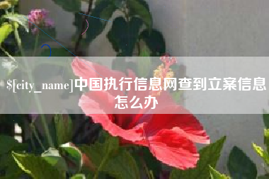 怀化中国执行信息网查到立案信息怎么办