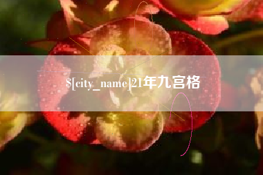 怀化21年九宫格