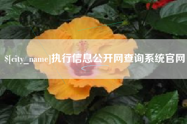 怀化执行信息公开网查询系统官网