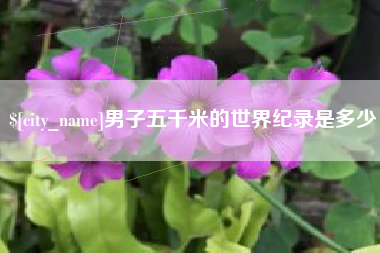 怀化男子五千米的世界纪录是多少