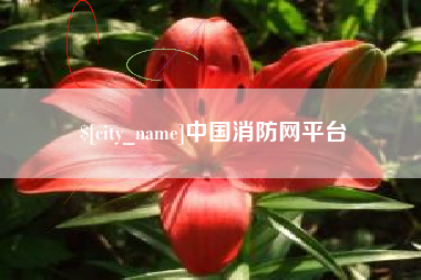 怀化中国消防网平台