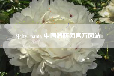 怀化中国消防网官方网站