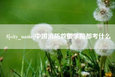 怀化中国消防救援学院都考什么
