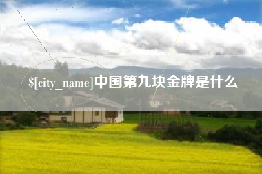 怀化中国第九块金牌是什么