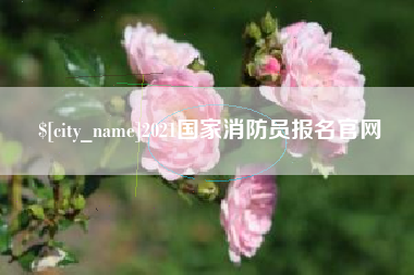 怀化2021国家消防员报名官网