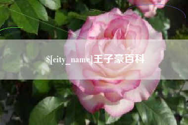怀化王子豪百科