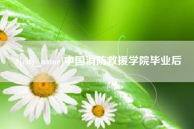 怀化中国消防救援学院毕业后