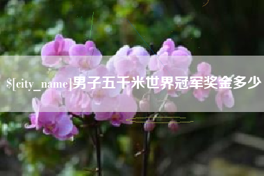 怀化男子五千米世界冠军奖金多少