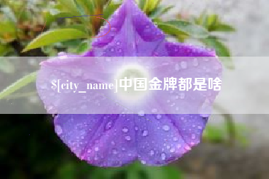 怀化中国金牌都是啥