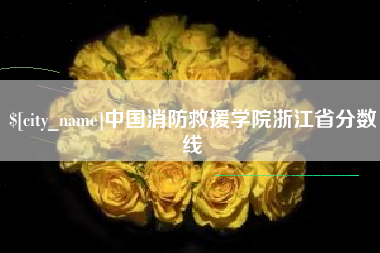 怀化中国消防救援学院浙江省分数线