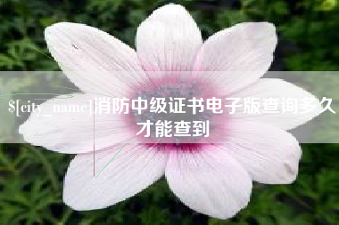 怀化消防中级证书电子版查询多久才能查到