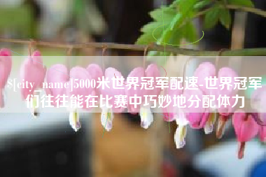 怀化5000米世界冠军配速-世界冠军们往往能在比赛中巧妙地分配体力