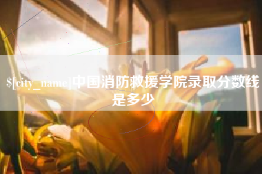 怀化中国消防救援学院录取分数线是多少