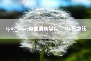 怀化中国消防学院2024年分数线