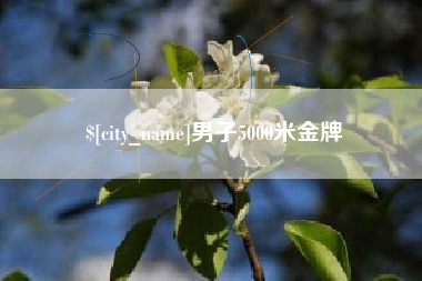 怀化男子5000米金牌