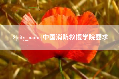 怀化中国消防救援学院要求