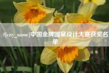 怀化中国金牌图案设计大赛获奖名单
