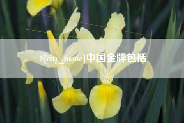 怀化中国金牌包括