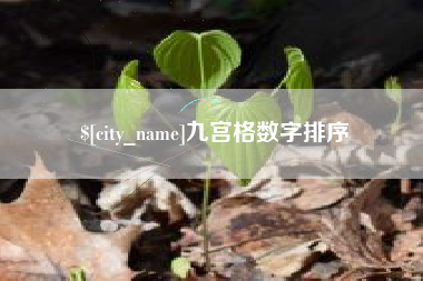 怀化九宫格数字排序