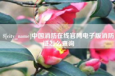 怀化中国消防在线官网电子版消防证怎么查询