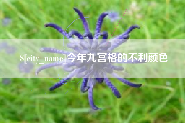 怀化今年九宫格的不利颜色