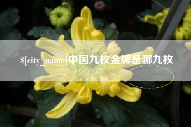 怀化中国九枚金牌是哪九枚