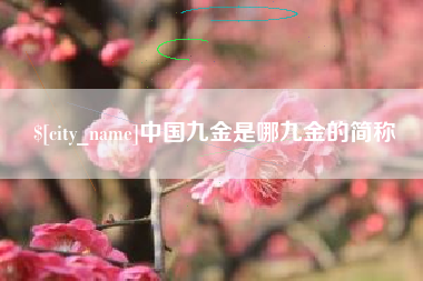 怀化中国九金是哪九金的简称
