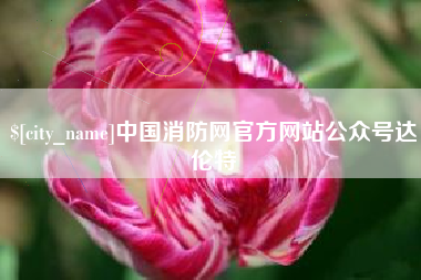 怀化中国消防网官方网站公众号达伦特