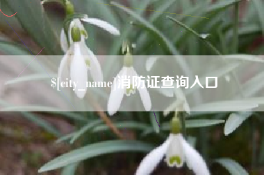 怀化消防证查询入口