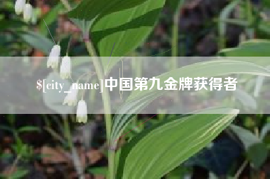 怀化中国第九金牌获得者