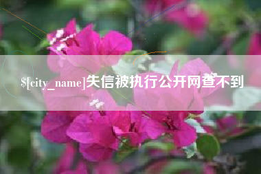 怀化失信被执行公开网查不到