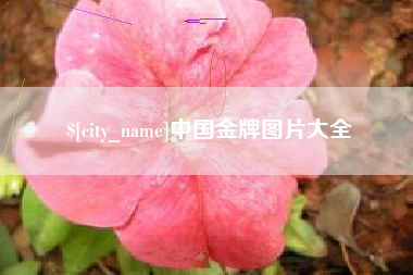 怀化中国金牌图片大全